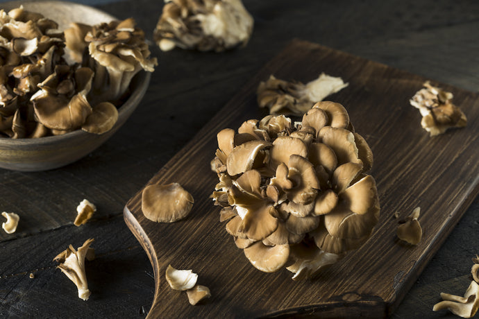 What are the Benefits of Maitake Mushrooms?