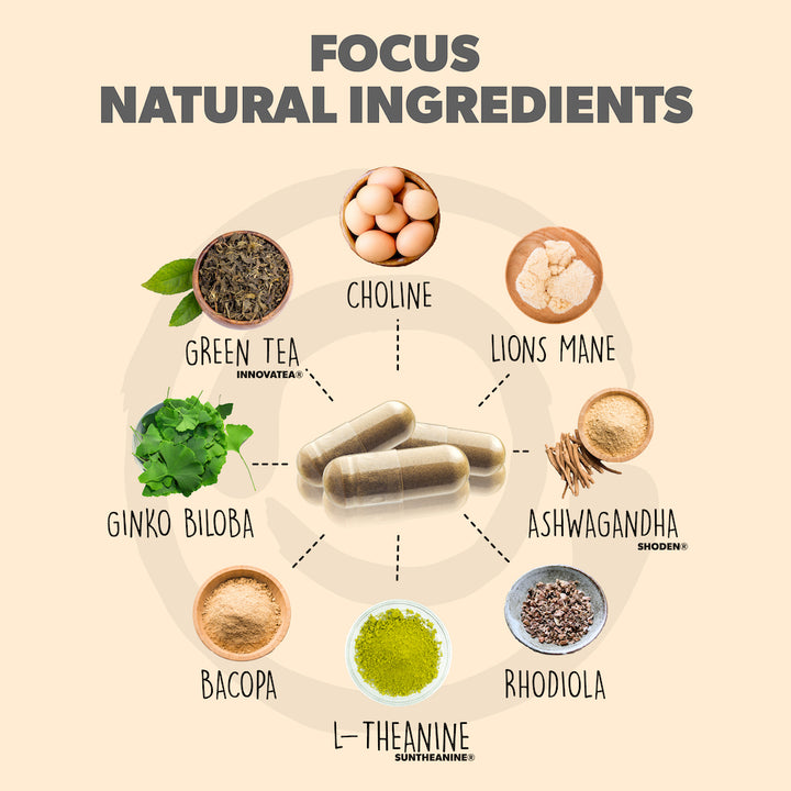 Focus Roots Supplement Focus Nootropic | Memory, Mood & Focus Supplement | Core Culture