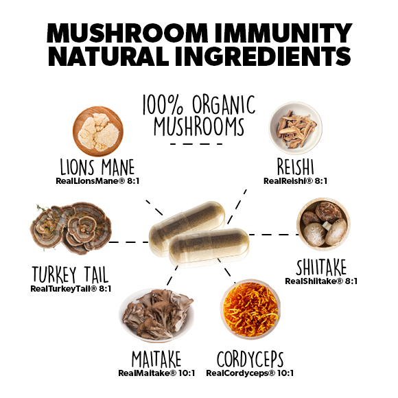 Load image into Gallery viewer, Mushroom Immunity Immune Support + Energy + Endurance - 60 Capsule - Core Culture Enterprises LLC
